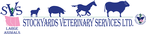 Stockyards Veterinary Services LTD.